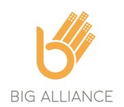 Big alliance logo no strapline